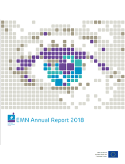 cover emn annual report 2018