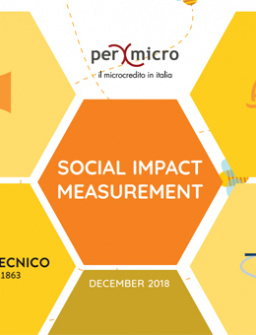 PerMicro's Social Impact measurement: personal and business loans cover