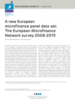A new European microfinance panel data set cover pic